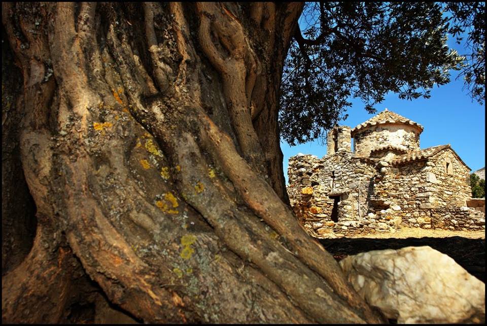 Παναγία Δαμνιώτισσα Παναγία Δαμνιώτισσα