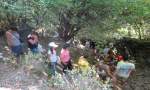 Ξενοδοχείο Άδωνις -  Νάξος - Απόλλωνας - Παραλία - Δωμάτια - Ορειβασία